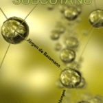Buchvorstellung: Subcutano, Jürgen de Bassmann im Rahmen der Karlsruher Literaturtage
