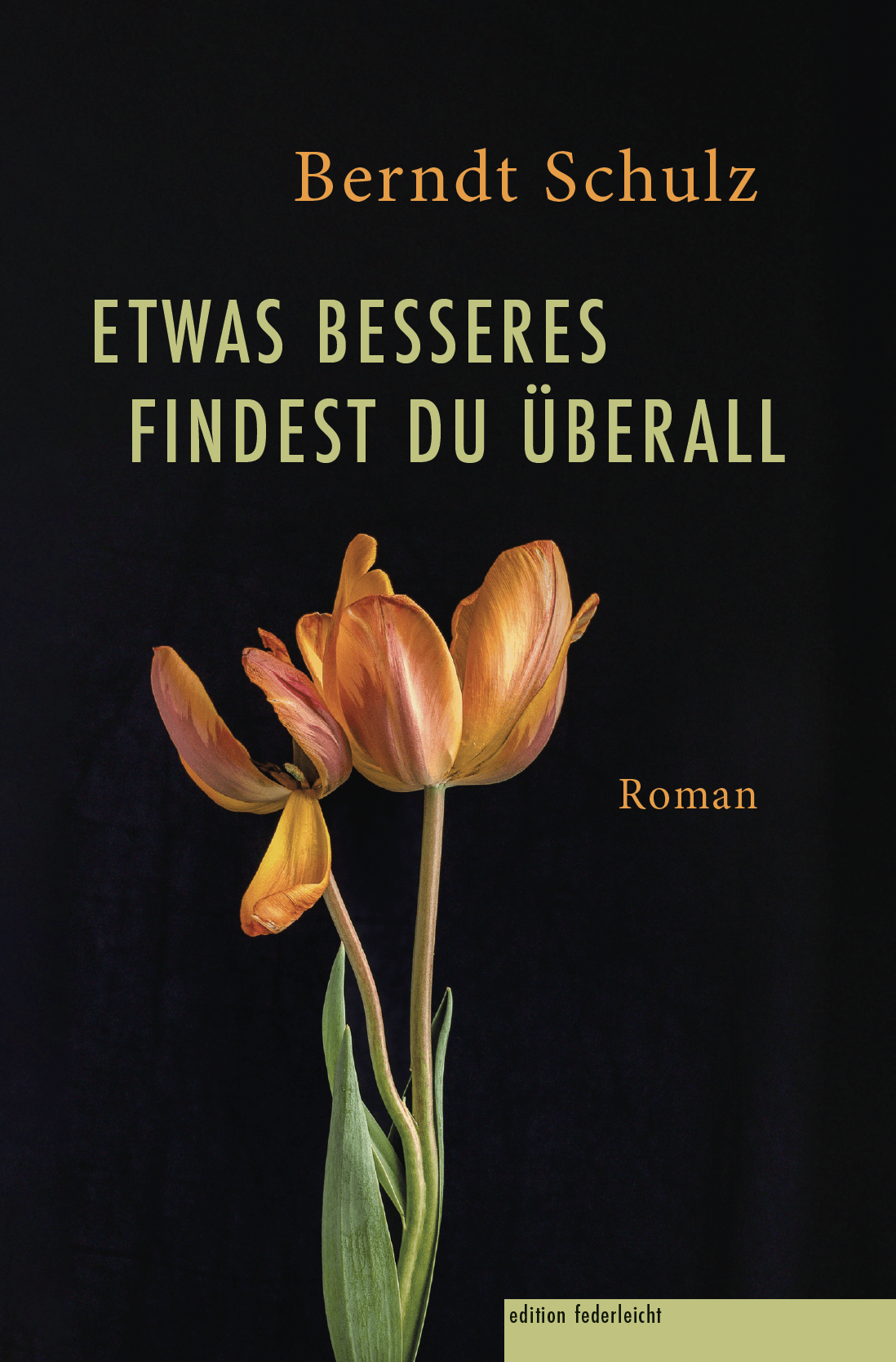 11. Tag der Literatur in Wabern: Berndt Schulz liest aus "Etwas Besseres findest du überall"